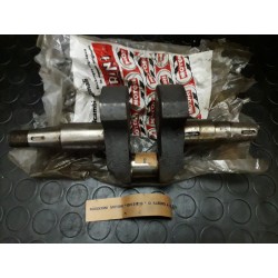 ALBERO MOTORE MOTORI RUGGERINI ORIGINALE 002301226 - RUGGERINI 01226