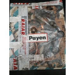 SET GUARNIZIONI MOTORE VM210 - PAYEN GH0261 - PAYEN GH261