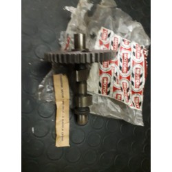 ALBERO A CAMMES MOTORI RUGGERINI ORIGINALE 00821 - RUGGERINI 002300821