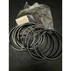 FASCIA RASCAOLIO RUGGERINI D.100X5 ORIGINALE RUGGERINI 03494