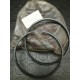 FASCIA RASCAOLIO RUGGERINI D.105X5 ORIGINALE RUGGERINI 03540 - RUGGERINI 03540