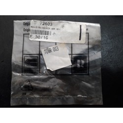 VIRE REGISTRO RUGGERINI 72603 - RUGGERINI 726R003