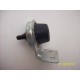 PULSANTE POMPETTA TERGICRISTALLO FIAT 500 F L R