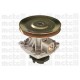 POMPA ACQUA FIAT FIORINO RITMO REGATA UNO LANCIA DELTA PRISMA / METELLI240585-7565764-7719921-71719696-7784981-7691043-7580754