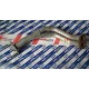 TUBO COLLETTORE AUTOBIANCHI Y10 1.3 GT - ORIGINALE 7663333