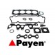 KIT GUARNIZIONI TESTATA FIAT LANCIA - PAYEN DV675