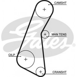 CINGHIA DENTATA BEDFORD MIDI - OPTIBELT-ZR 40305 - DAYCO 111RP190 - GATES 5121 - 94158327 - 94215254