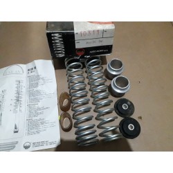 KIT MOLLE DI CARICO AUDI 90 - OSRAV 10311