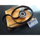 KIT DISTRIBUZIONE FIAT 124 SPORT 1600 125 131 132 ARGENTA LANCIA BETA 1600 - 146R190