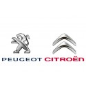 FILTRI ARIA CITROEN / PEUGEOT 